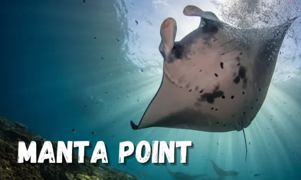 Manta Point